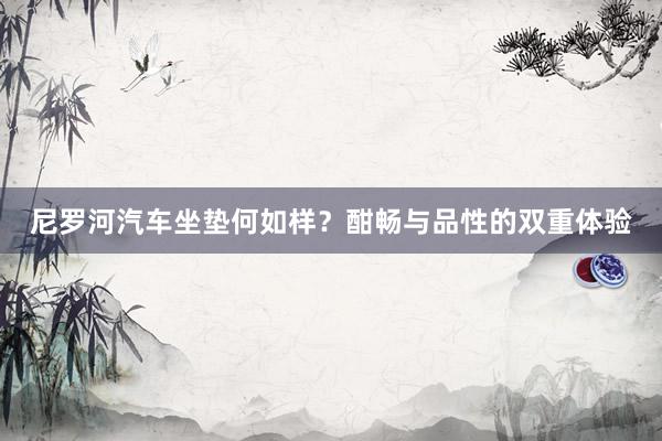 尼罗河汽车坐垫何如样？酣畅与品性的双重体验